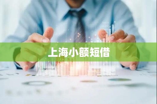 上海小额短借